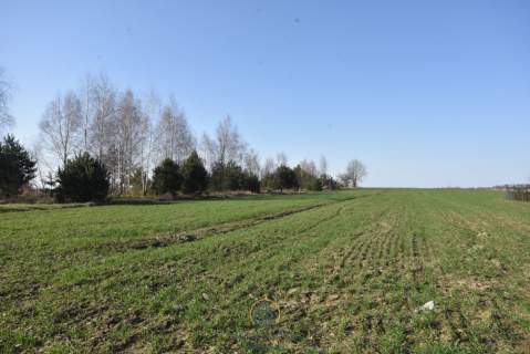 Działka przy Jeziorze Kunów