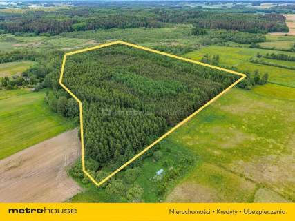 Las inwestycyjny 9,5 ha 770 m   drewna