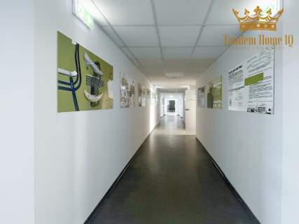 Do wynajmu biuro 40m2 w ścisłym centrum, metro, jedno pomieszczenie