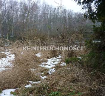 Działka rolna na sprzedaż, 5950 m2, Ruda Śląska