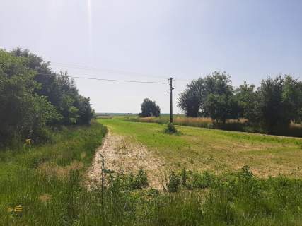 Działka budowlano - rolna Krężnica Jara