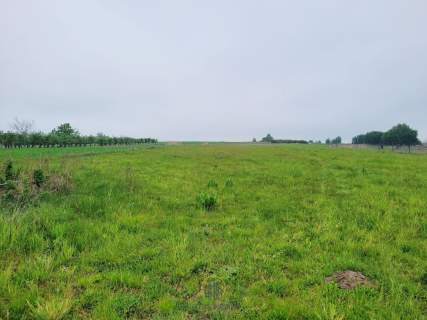 Działka budowlana siedliskowa 8284 m2