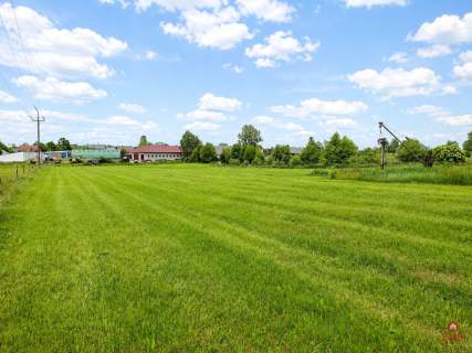Siedlisko 0,6 ha, gm. Brańsk