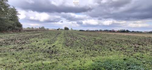Dom z zabudowaniami 1,10 ha wieś w gm. Pacanów pow. buski 