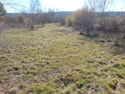 Na sprzedaż działka 4400 m2 okolice Zielonej Góry