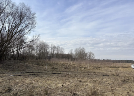 Działka Płaciszewo