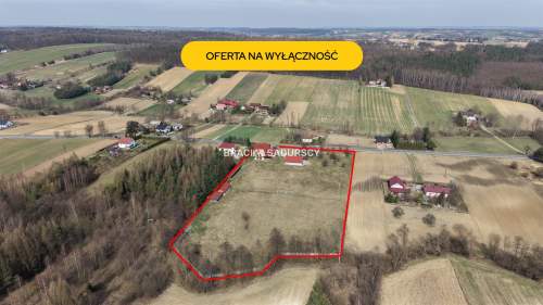 Duży dom 631 m 1,76 ha potencjał inwestycyjny