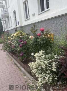 3-pokojowe mieszkanie na Ochocie