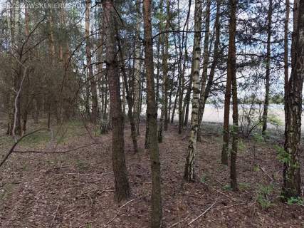 Krupia Wólka, 3400 m2, MPZP, wolnostojąca