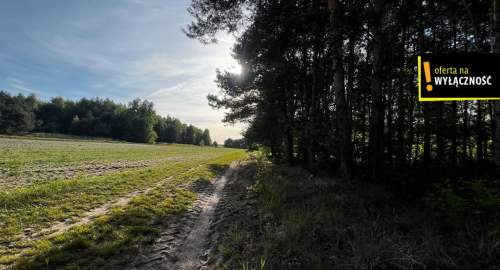 1,67 ha gruntu w cenie 40 000 zł
