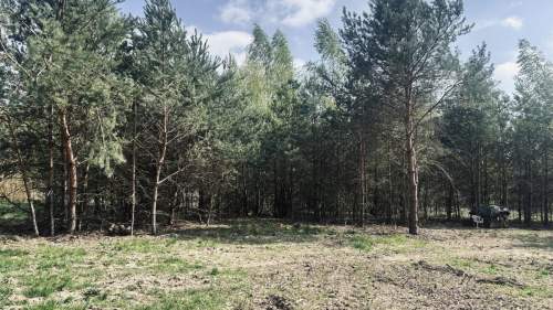 Sprzedam działką puszcza kampinoska