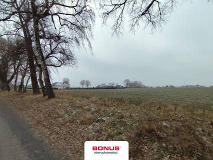 Duża działka budowlana pod Nowogardem