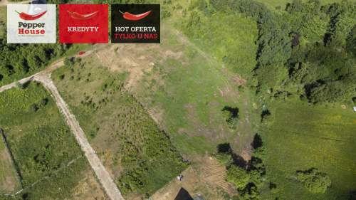 ul. Pagórkowa, Przyjaźń