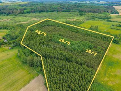 Las inwestycyjny 9,5 ha 770 m   drewna