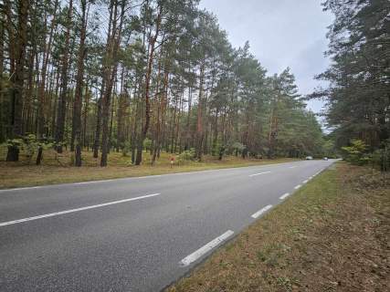 Na sprzedaz dzialka- lesna