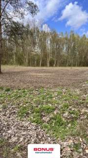 Działka budowlana w okolicach Tarczyna 
