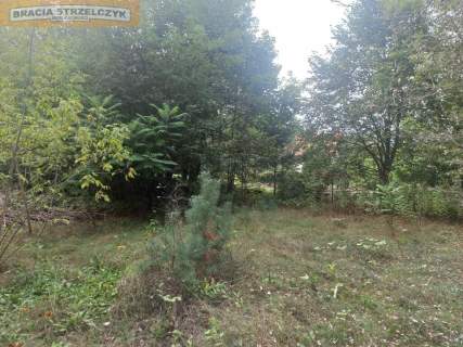 Działka 2500 m2 nad Narwią Zambski Kościelne