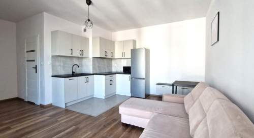 Duża kawalerka po remoncie, Wysoka 24, Widzew