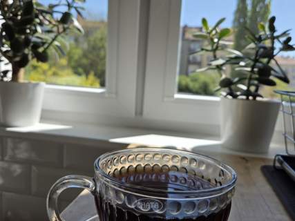 3 pokoje/po remoncie/Wróbla/dwustronne