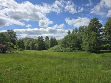 Działka siedliskowa na sprzedaż, 4800 m2, Przystawy