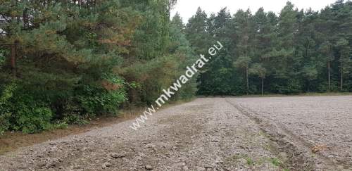 DZIAŁKA W OTULINIE LASU Budy Wolskie