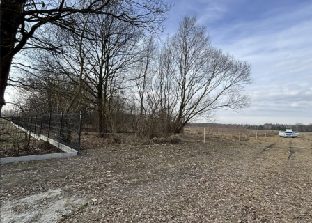 Działka Płaciszewo