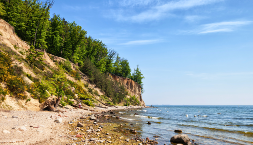 taniepokojegdynia