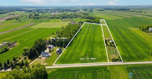 DZIAŁKI INWESTYCYJNA / 3,5HA / FALBOGI BOROWE