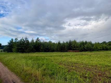 Działka siedliskowa Zbierkowo 3791m przy lesie, woda i prąd