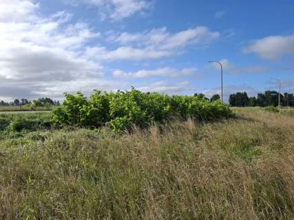 Działka inwestycyjna na sprzedaż, 2080 m2, Darłowo