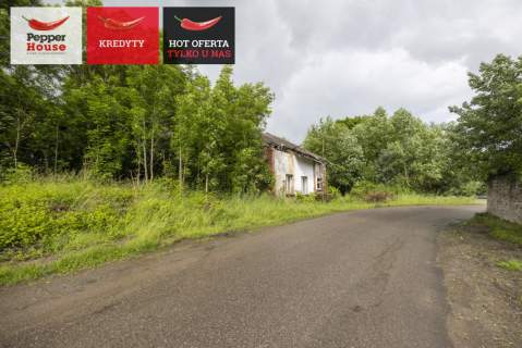 Dom do remontu lub odbudowy, Stegny Elbląg Pasłęk
