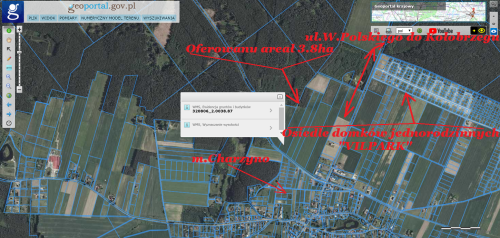 TANIO od ROLNIKA w ok.KOŁOBRZEG 3,8hA na DZIAŁKI.Bez PROWIZI