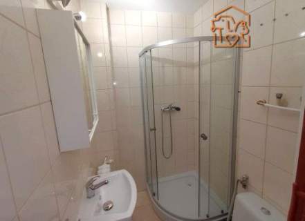 Zbigniewa 2, przyjazne zwierzętom studio