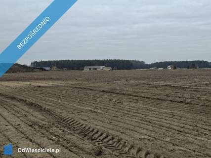 Syndyk sprzeda udział 3/8 w prawie własności nieruchomości gru