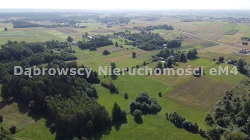 Duża działka, WZ w trakcie uzyskiwania