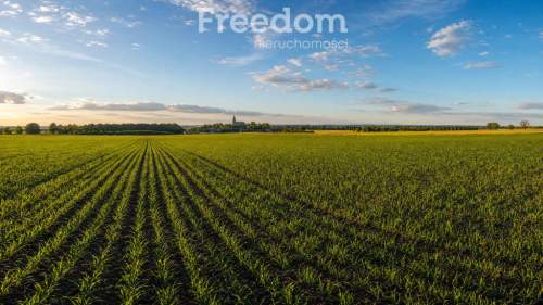 Działki rolne o łącznym areale 3,120 ha Pogorzela