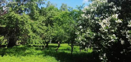 Wawer, Miedzeszyn, 1000 m2, wolnostojąca