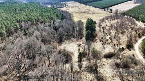 Działka pod lasem na skraju wsi - możliwość zabudo