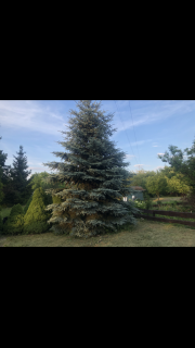 DZIAŁKA ROD W BIAŁYMSTOKU Z DOMKIEM 16M2 OD WŁASCICIELKI