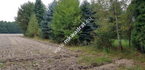 DZIAŁKA W OTULINIE LASU Budy Wolskie