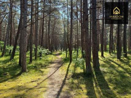 Apartament Rogowo Shellter widok na morze