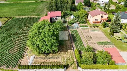 Dom z dużą działką i zabudowaniami gospodarczymi