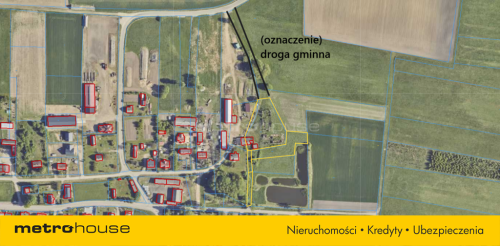 Pierławki - urokliwe siedlisko z duszą i ruinami