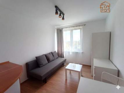 Zbigniewa 2, przyjazne zwierzętom studio