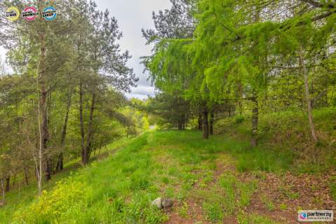 prywatny staw i las 200 m lini brzegowej