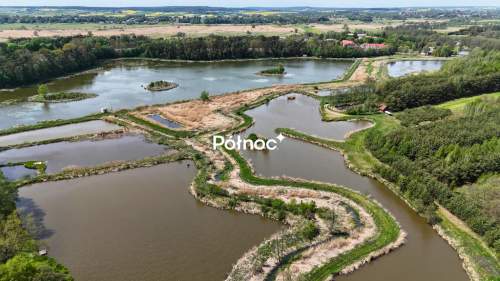 Staw rybny 2,74 ha Małochwiej Duży