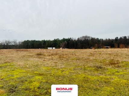 Działka rolna blisko lasu - Grzepnica