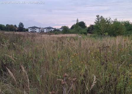 Wawer, Zerzeń, 835 m2, WZ, wolnostojący