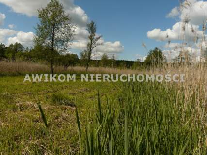 Działka budowlana na sprzedaż, 1500 m2, Sewerynów