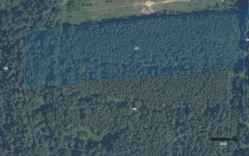 Działka inwestycyjna Cisów 22 500 m 